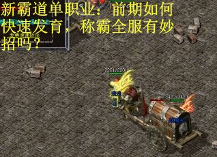 新霸道单职业：前期如何快速发育，称霸全服有妙招吗？