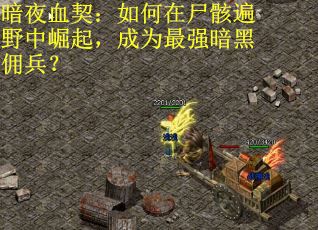 暗夜血契:如何在尸骸遍野中崛起,成为最强暗黑佣兵? 暗夜血契:如何在尸骸遍野中崛起,成为最强暗黑佣兵?