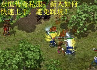 永恒传奇私服：新人如何快速上手，避免踩坑？