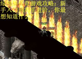 绿视界传奇游戏攻略：新手入门到高手进阶，你最想知道什么？