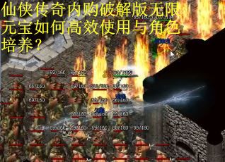 仙侠传奇内购破解版无限元宝如何高效使用与角色培养? 仙侠传奇内购破解版无限元宝如何高效使用与角色培养?