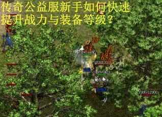 传奇公益服新手如何快速提升战力与装备等级？