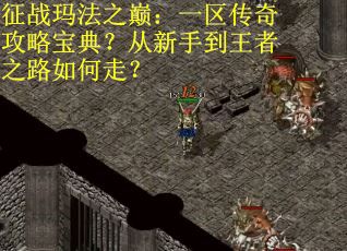 征战玛法之巅：一区传奇攻略宝典？从新手到王者之路如何走？