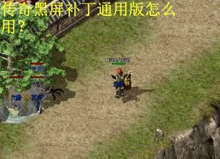 传奇黑屏补丁通用版怎么用? 传奇黑屏补丁通用版怎么用?