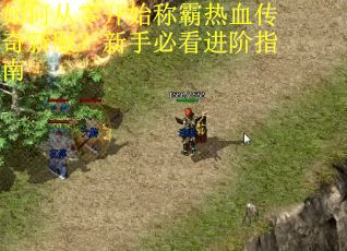 如何从零开始称霸热血传奇新服？新手必看进阶指南