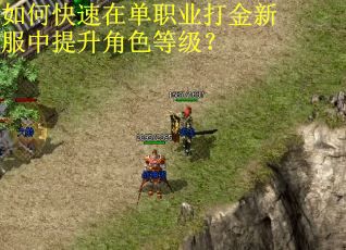 如何快速在单职业打金新服中提升角色等级？
