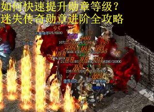 如何快速提升勋章等级?迷失传奇勋章进阶全攻略 如何快速提升勋章等级?迷失传奇勋章进阶全攻略