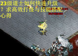 23级道士如何快速升级？求高效打怪与技能搭配心得