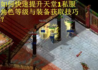 如何快速提升天堂1私服角色等级与装备获取技巧？